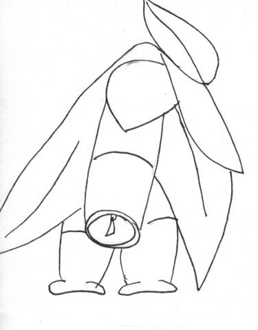 Disegno della pianta