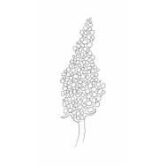 Disegno della pianta