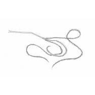 Disegno della pianta