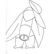 Disegno della pianta